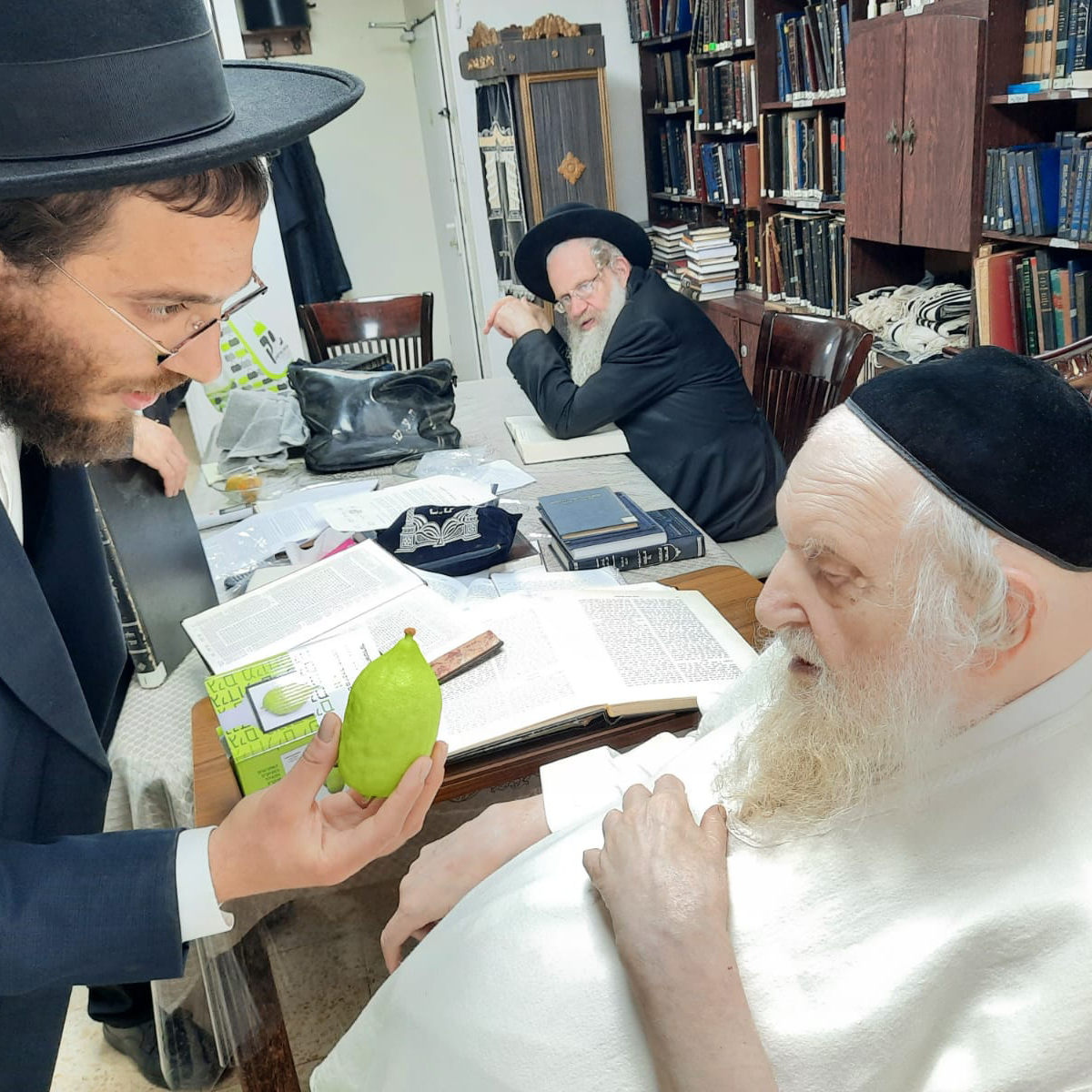 Rabbi Moshe Sternbuch once again chooses a Damder etrog