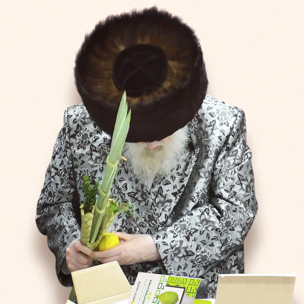 Rabbi Moshe Sternbuch selecting a Damder etrog