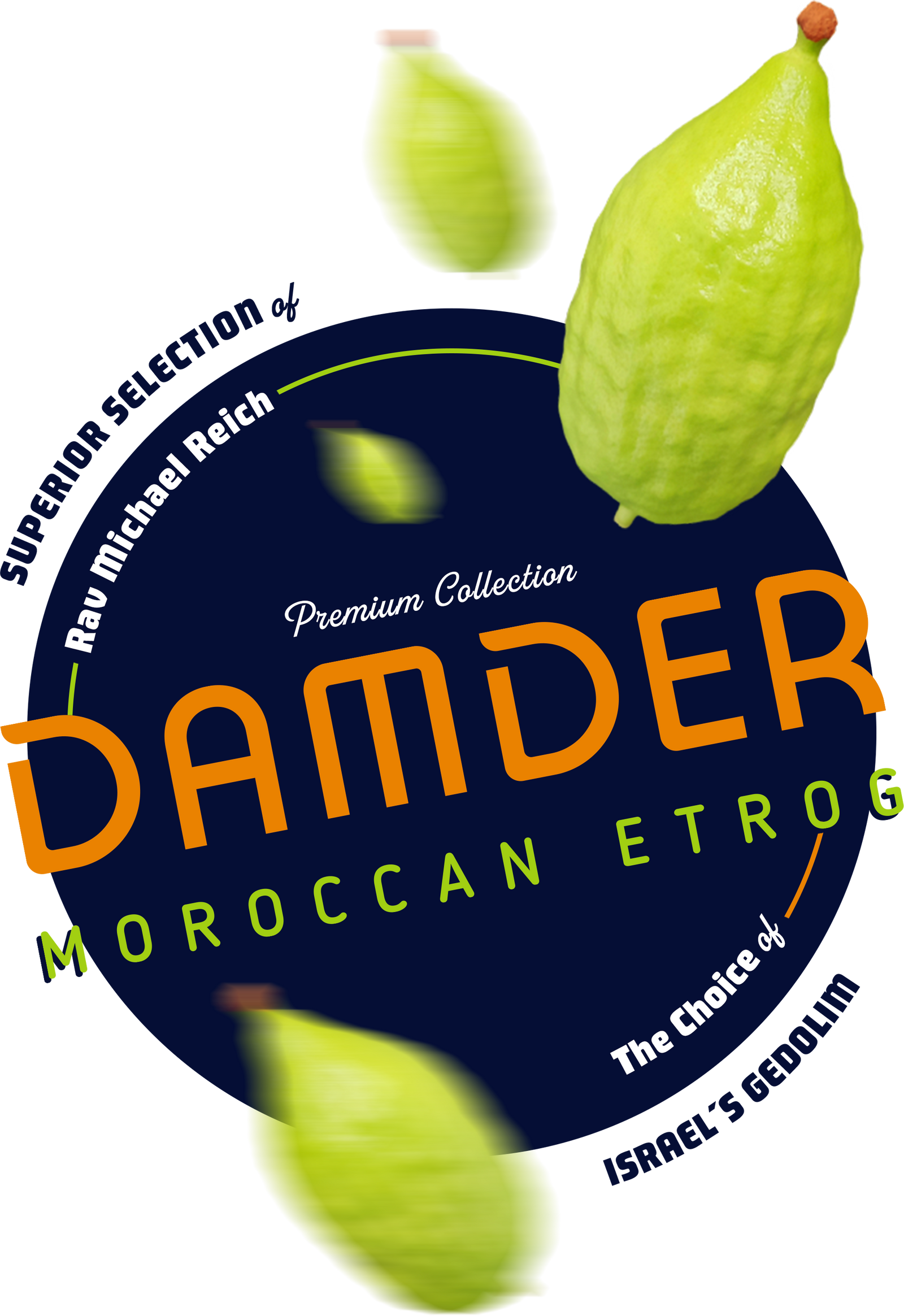 A genuine Damder Moroccan etrog held in hand