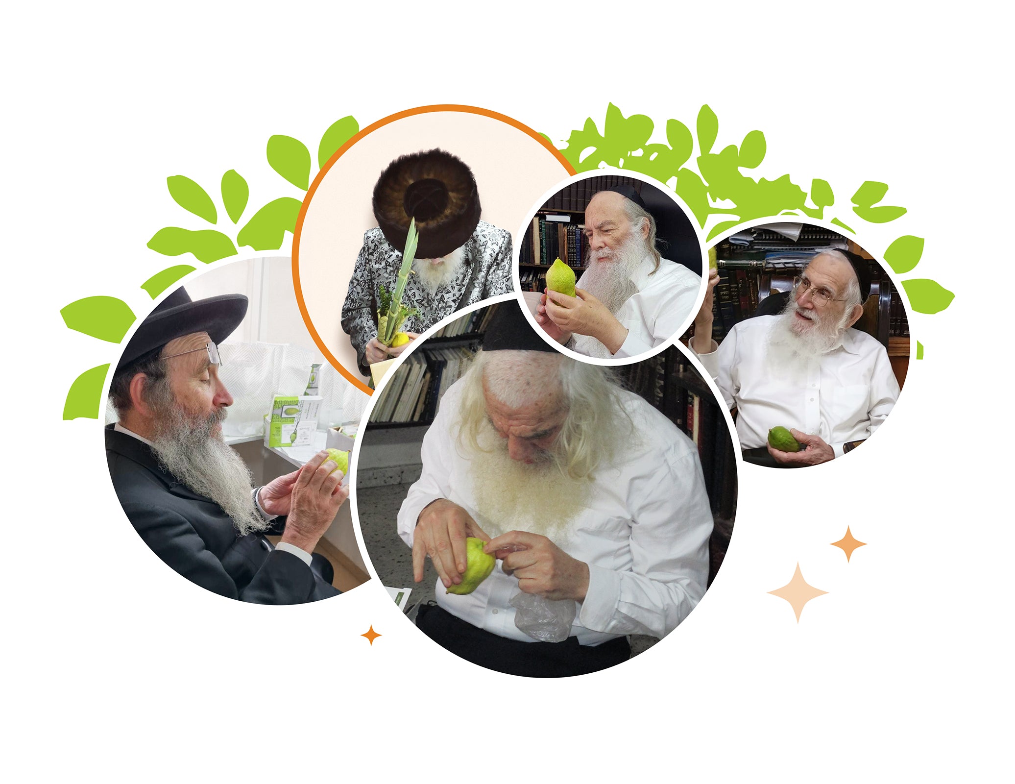 Rabbi inspecting an etrog