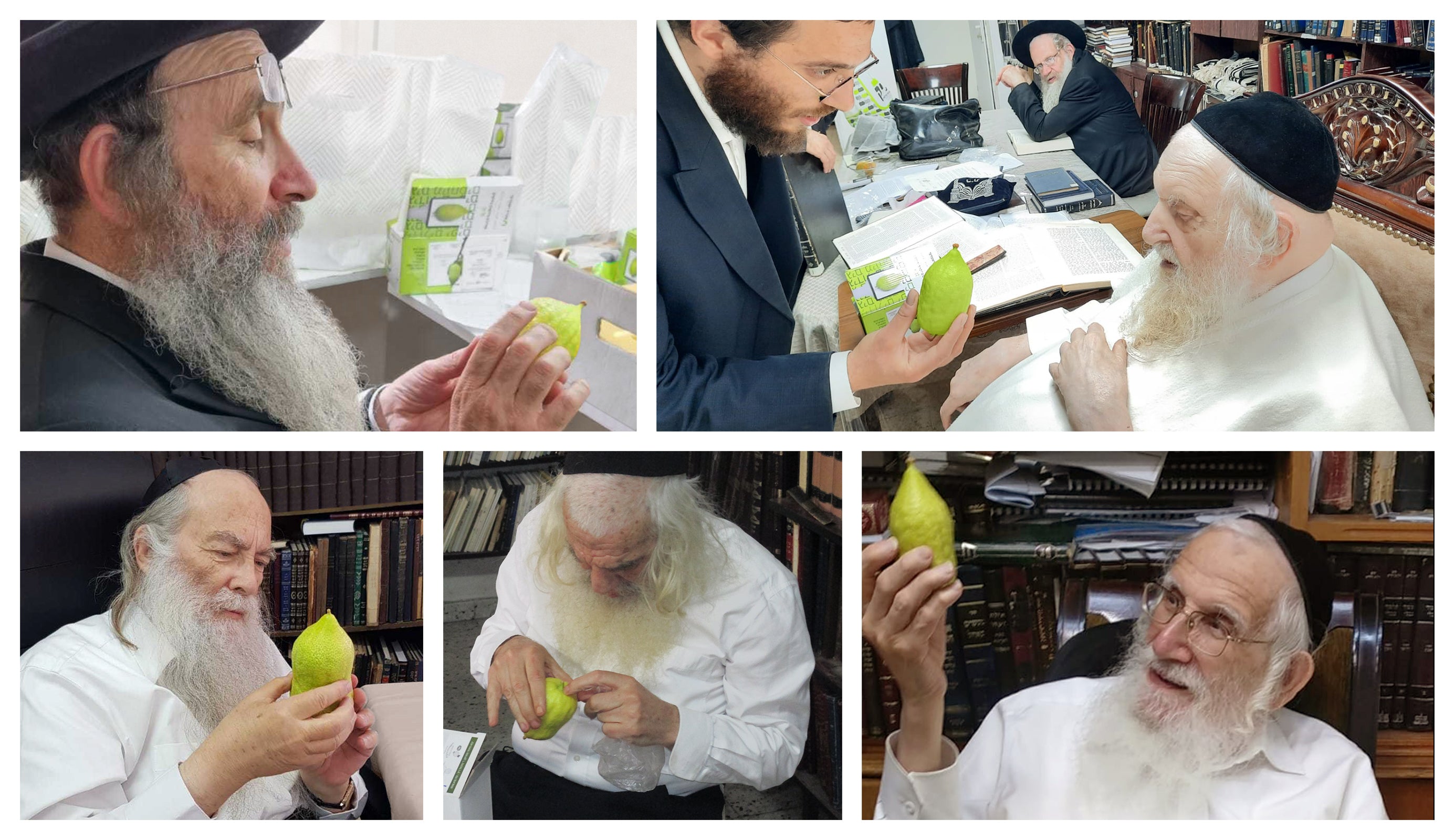 רב בוחן אתרוג