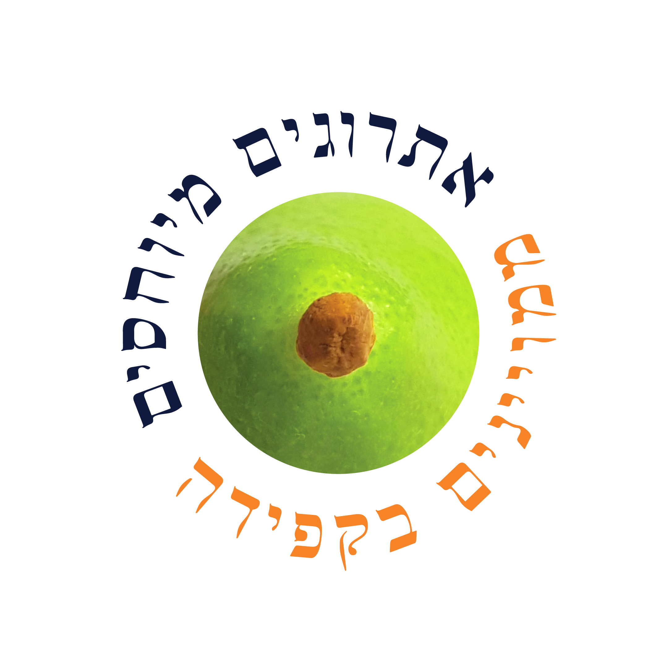 The Moroccan etrog-growing landscape