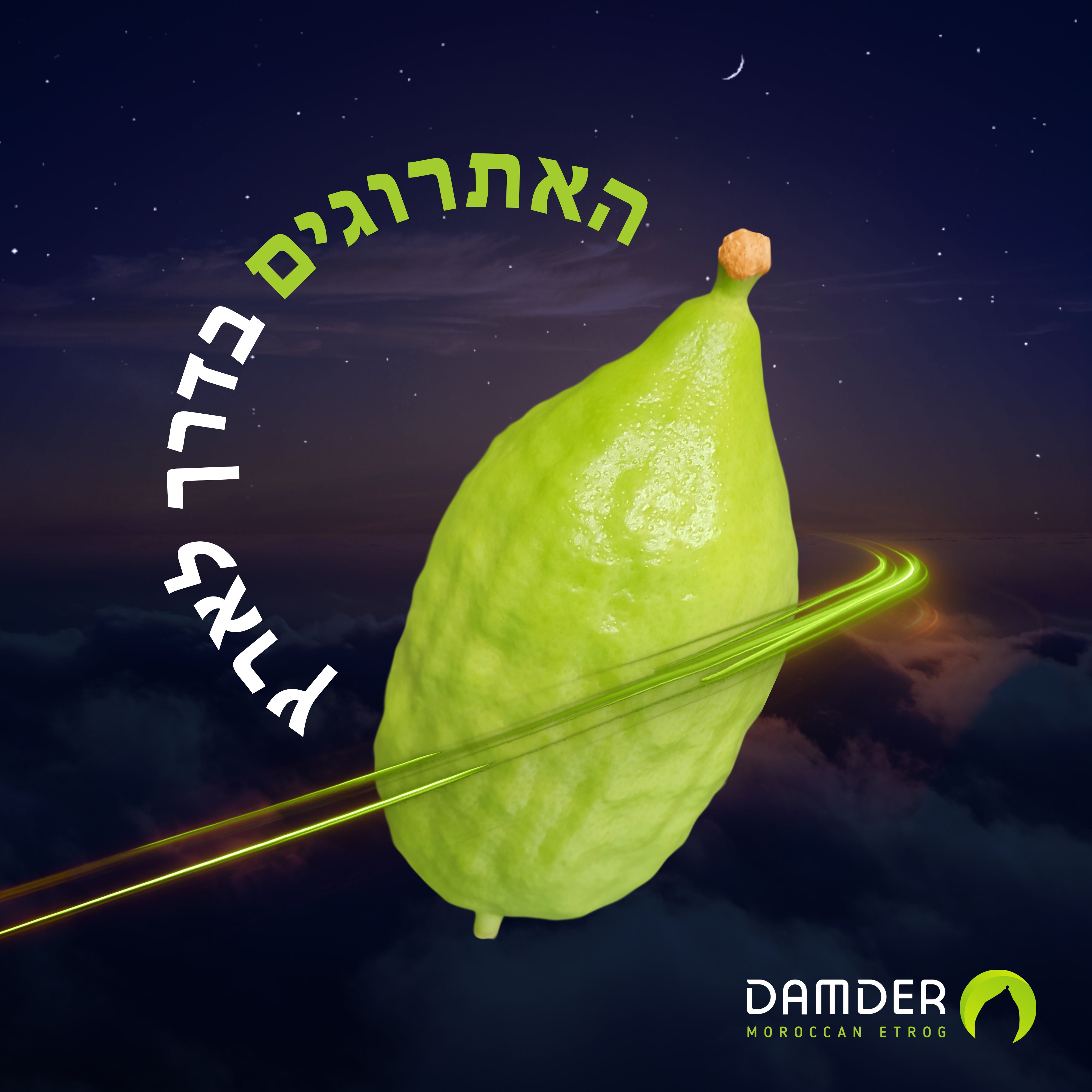 The beauty of Etrog is a real diamond that grows on trees