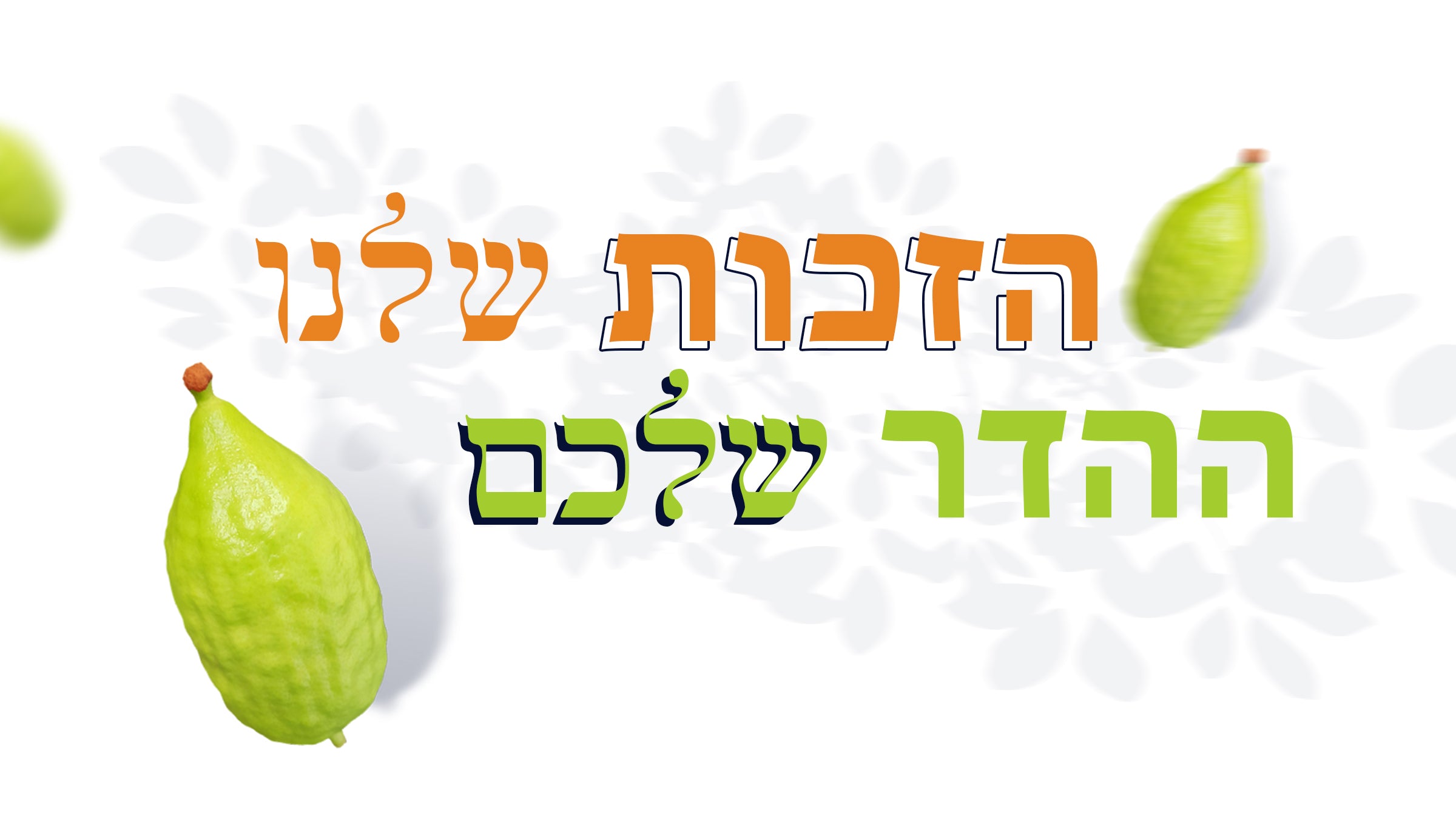 אתרוגי דאמדער — מסורת, הדר ואיכות