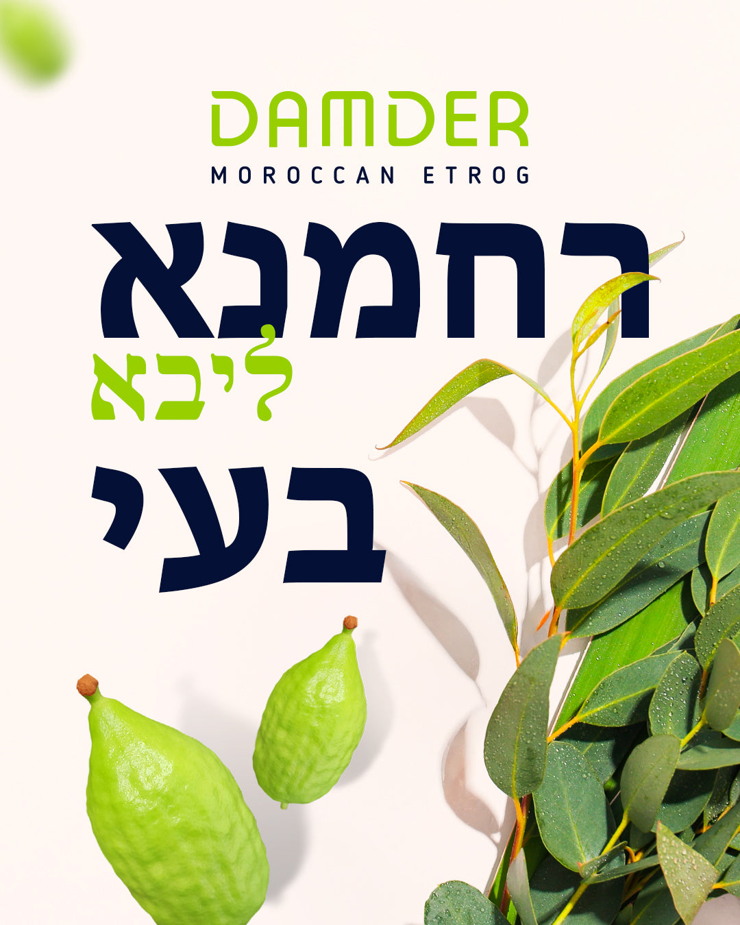 The beauty of Etrog is a real diamond that grows on trees