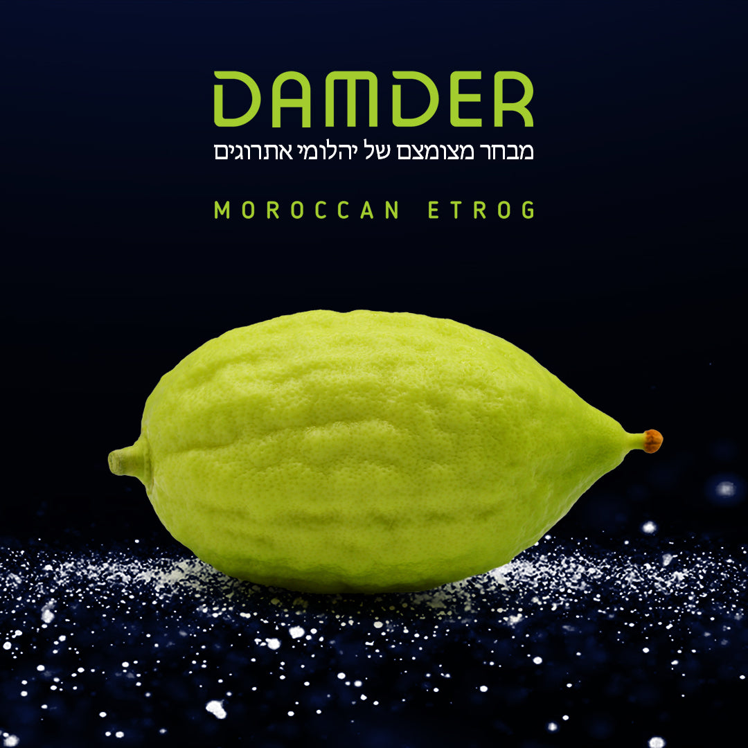 The beauty of Etrog is a real diamond that grows on trees