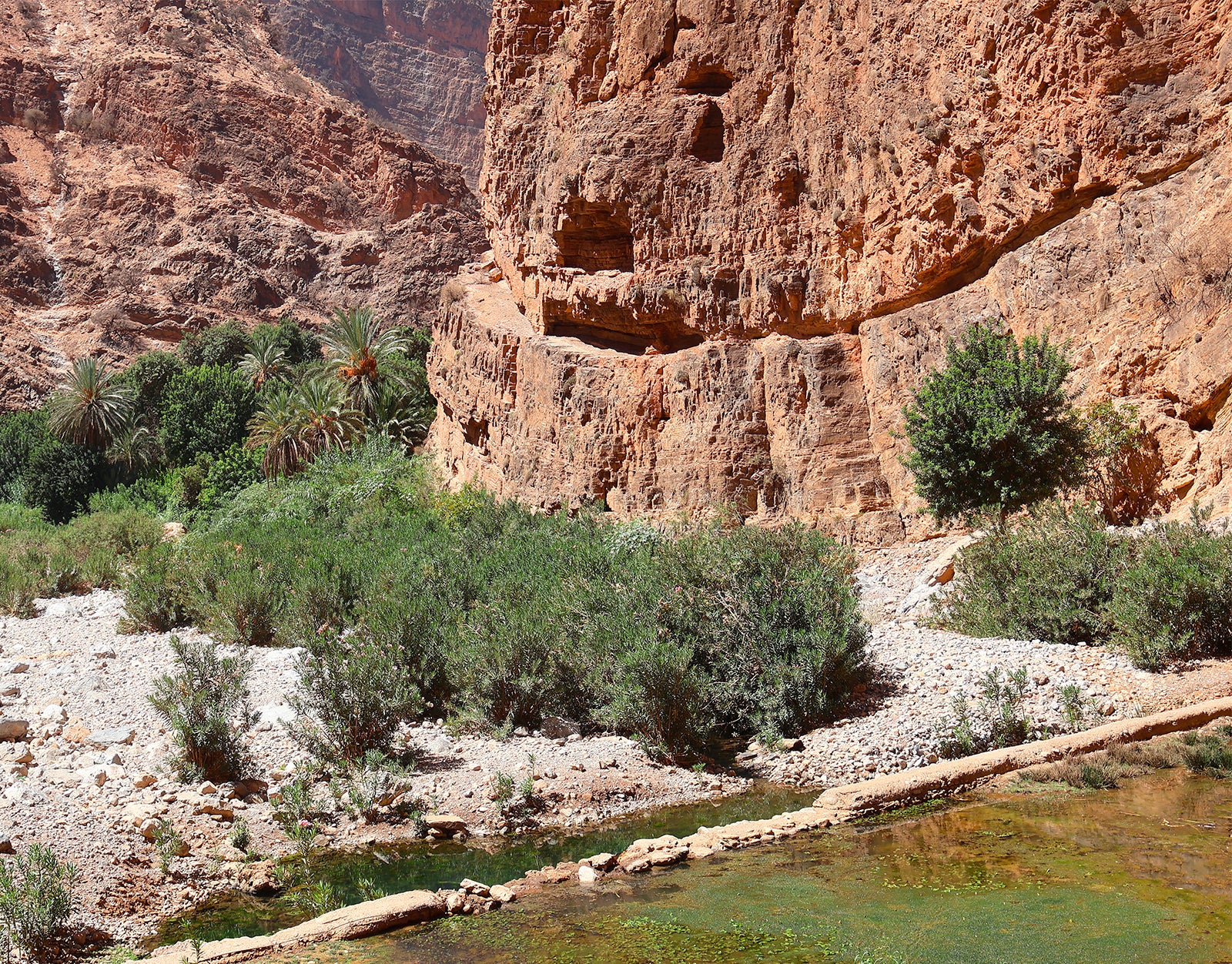 The etrog-growing valley in Morocco's Atlas Mountains
