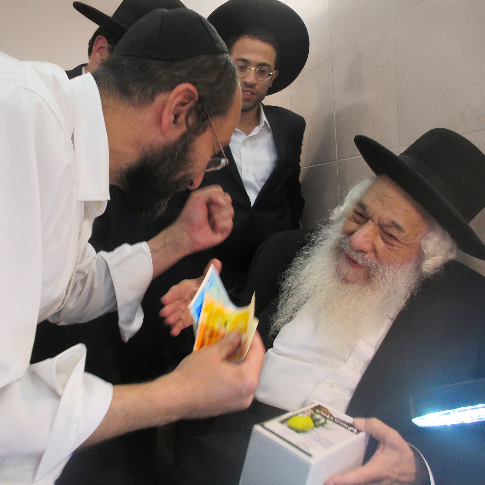The beauty of Etrog is a real diamond that grows on trees