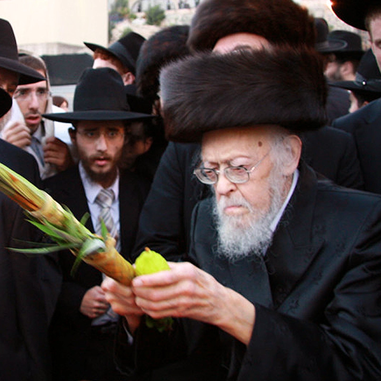 A rabbi examining a fine Moroccan etrog