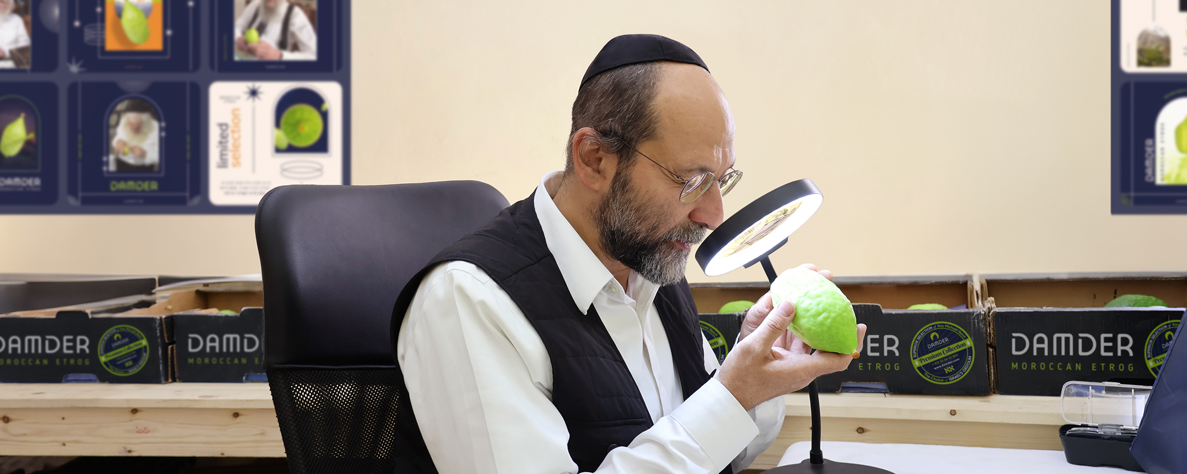 Michael Reich inspecting a genuine Damder etrog under magnification
